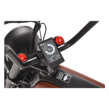 Load image into Gallery viewer, Revibikes Prowler