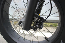 Load image into Gallery viewer, Coastal Cruiser - Ripper Pro - Dual-Battery 48V 750W Moto Style Electric Bike