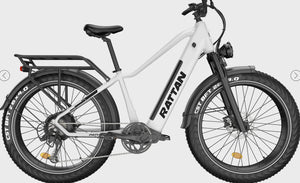 Rattan Pathfinder Ebike