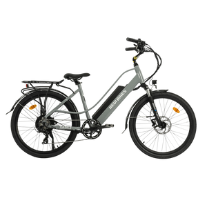 Revibikes Oasis.2