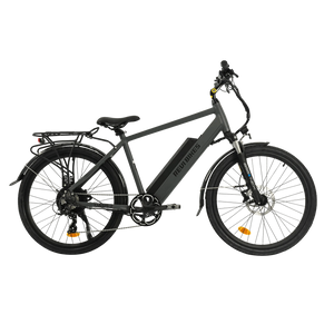 Revibikes Oasis.2