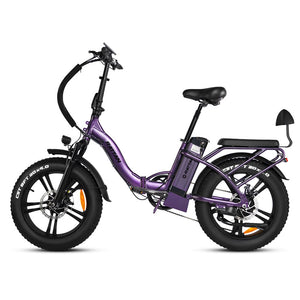 Rattan LF 750 PRO Foldable Ebike