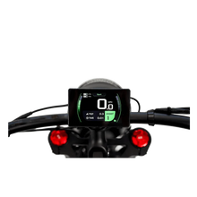 Load image into Gallery viewer, Revibikes Cheetah Pro