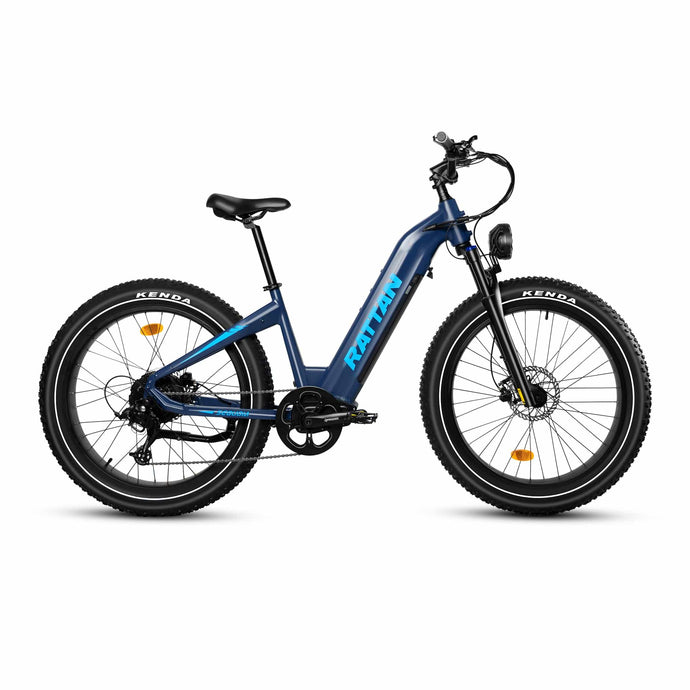 Rattan Sequoia Ebike