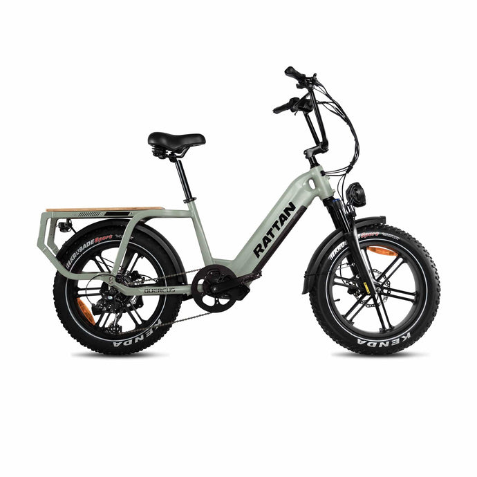 Rattan Quercus Ebike