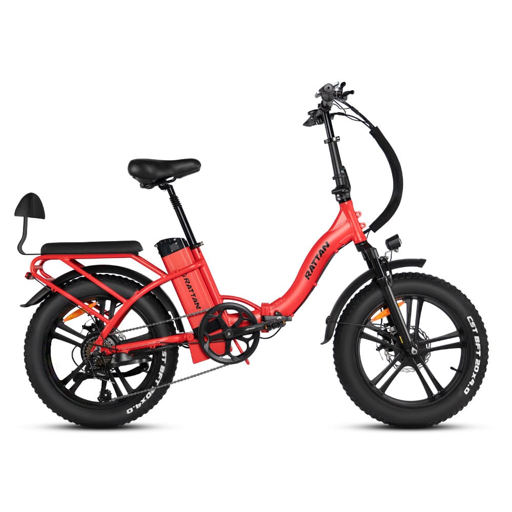 Rattan LF 750 PRO Foldable Ebike