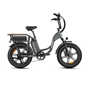 Mukkpet Breeze Dual-Battery Cargo Ebike