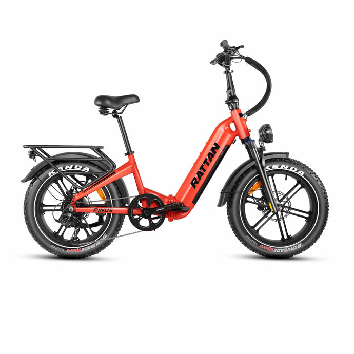 Rattan Pinus Foldable Ebike